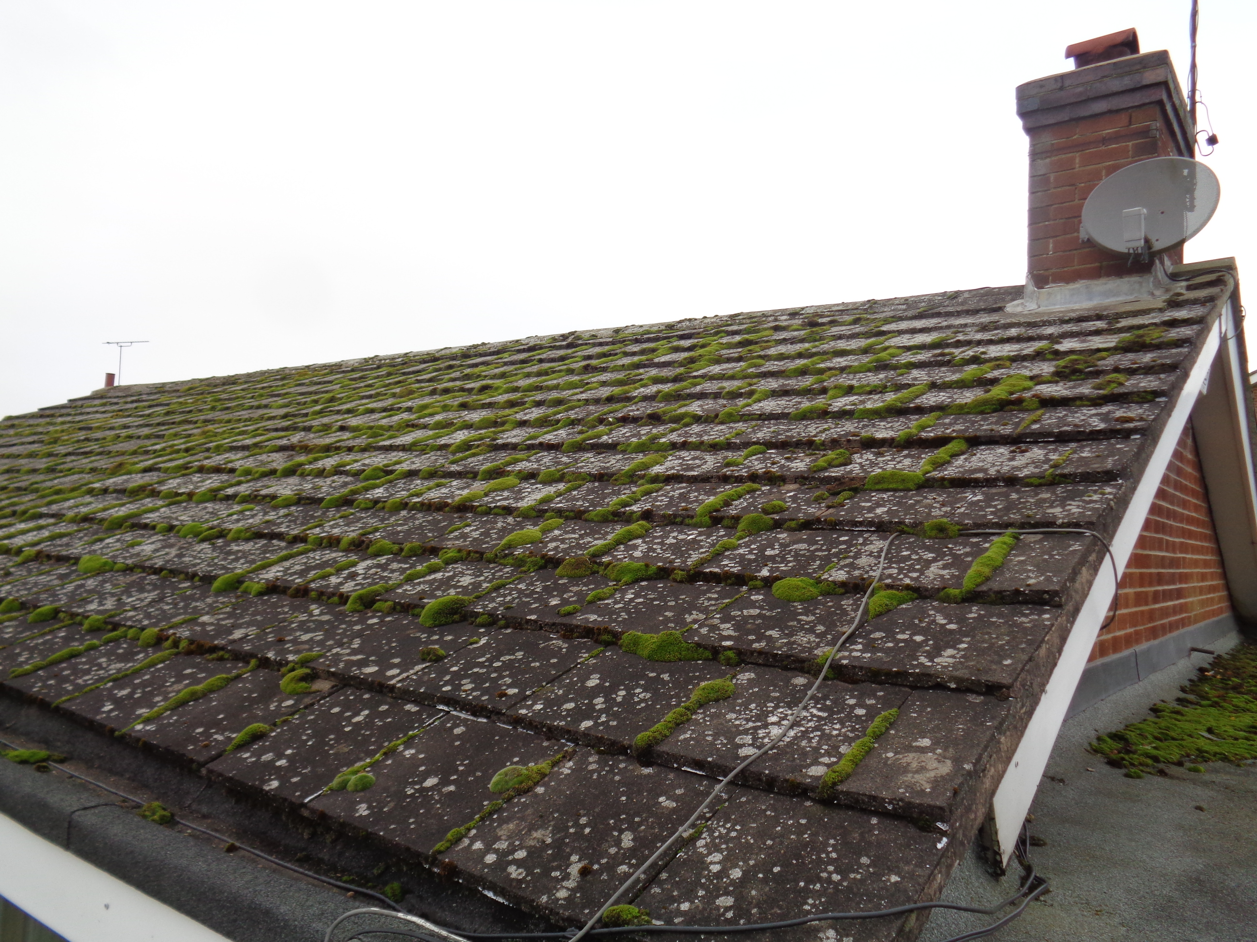 Moss on Roof Slopes