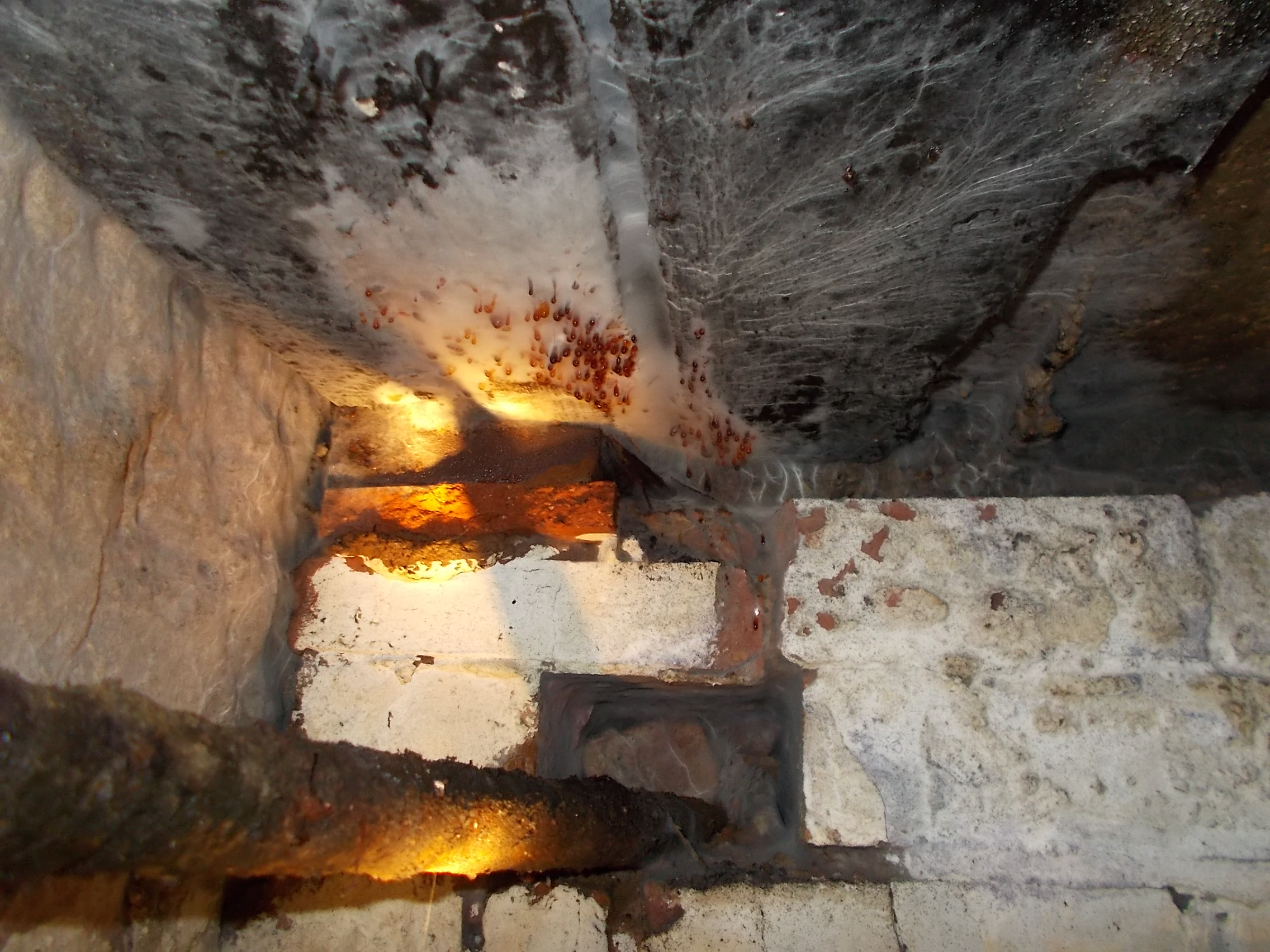 The dangers of Dry Rot